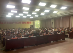 律例、规范操做