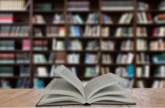 获得了新中两国的